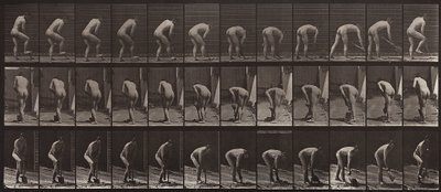 Tierbewegung, Tafel 388 von Eadweard Muybridge